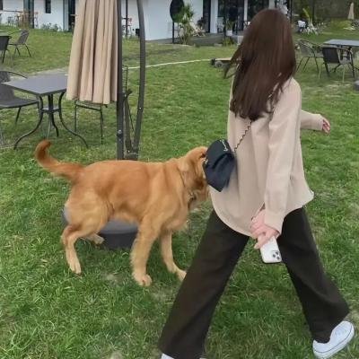 妻娇郎更娇粤语